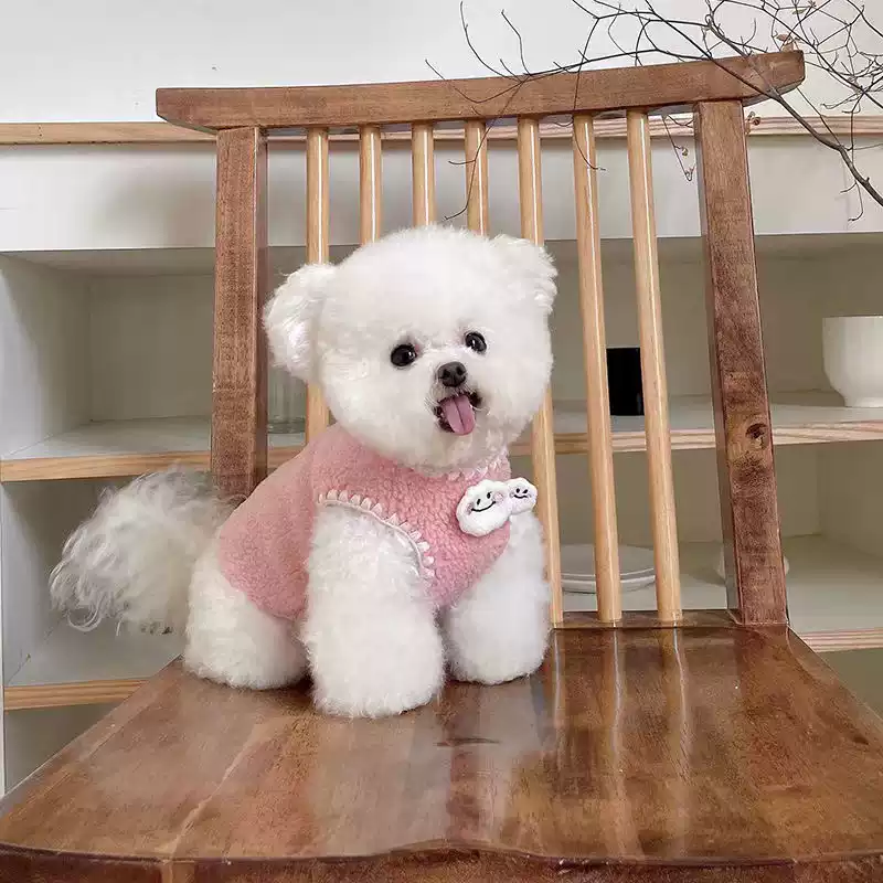 Pet Vest Autumn/Winter Plush Clothes for Small Dogs and Cats