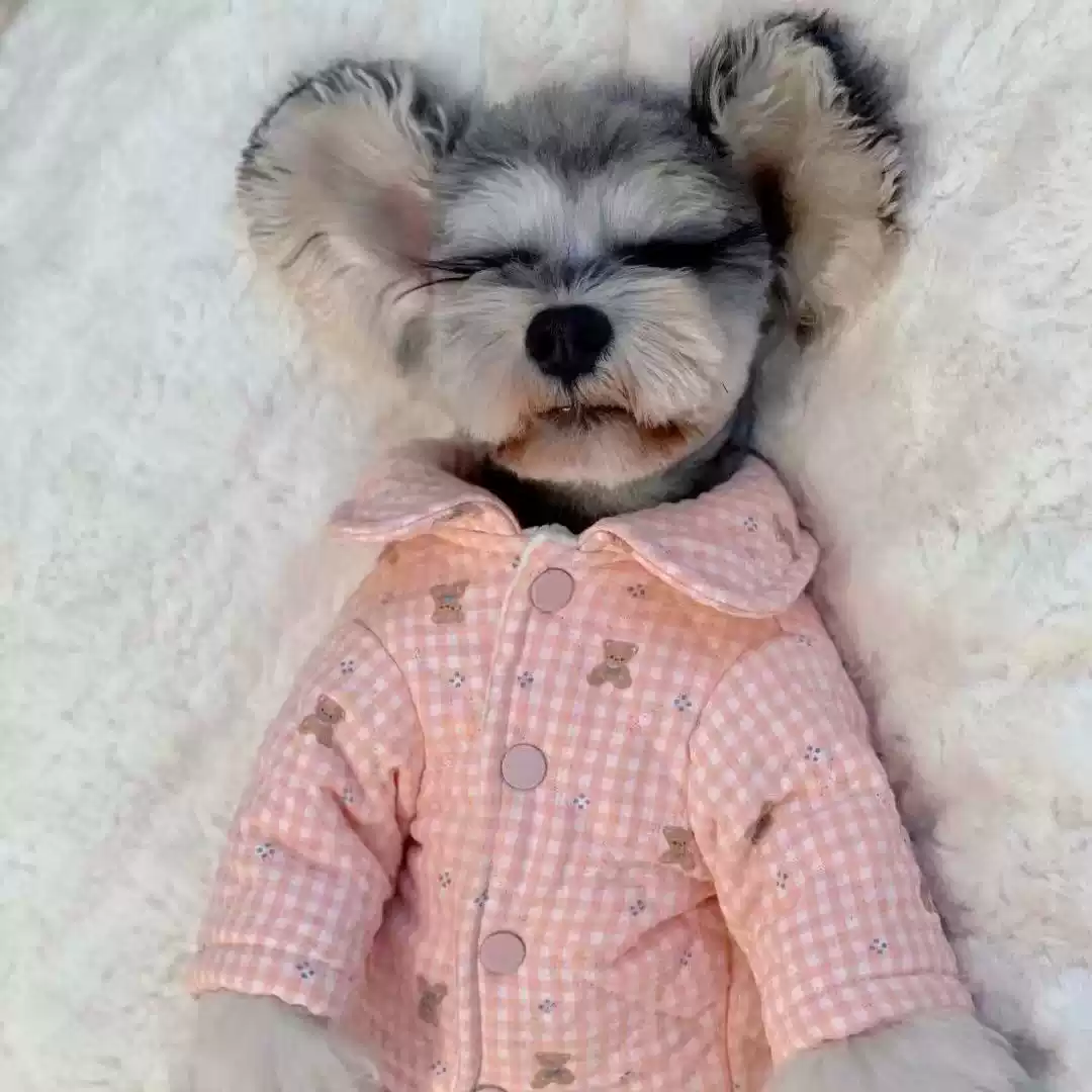 Thickened Four-Legged Cotton Coat for Small Dogs