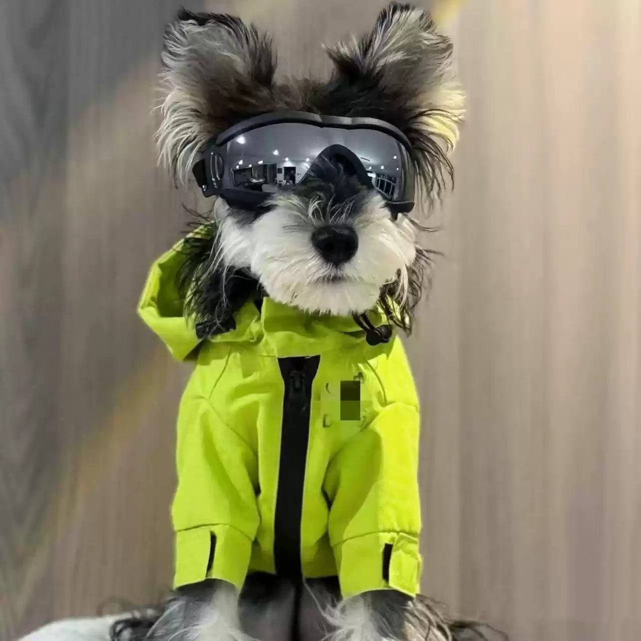 Waterproof Pet Raincoat Jacket for Small Dogs