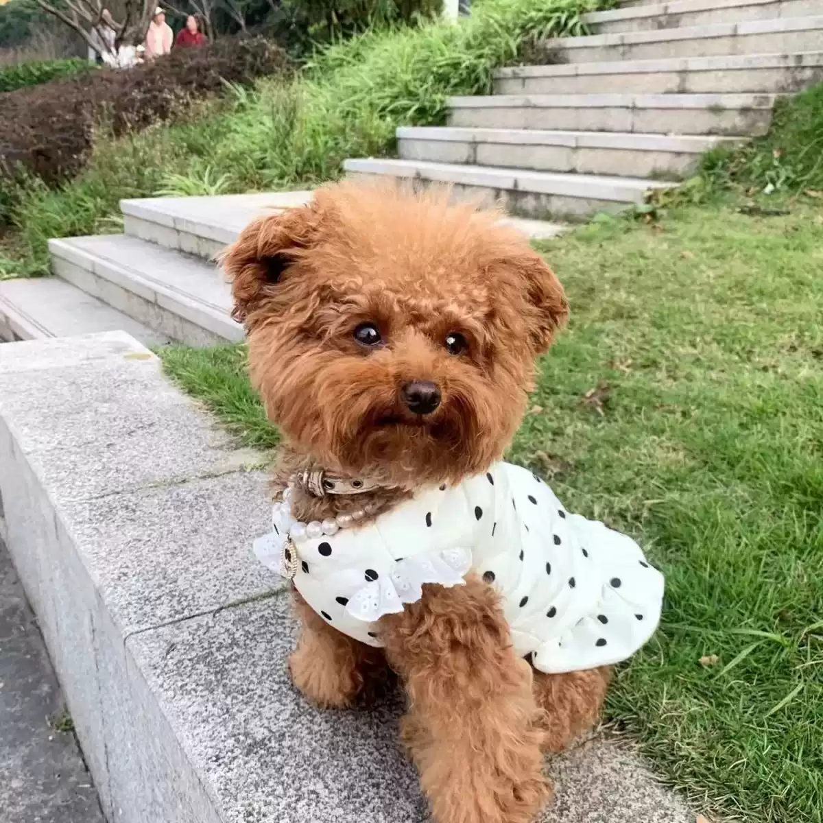 Pet Autumn & Winter Polka Dot Fleece-Lined Skirt for Small Dogs & Cats