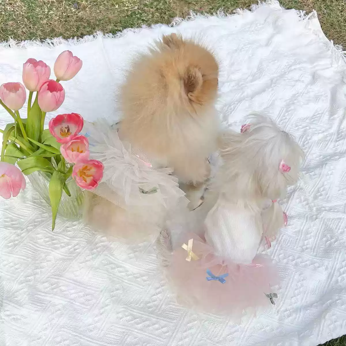 Bowknot Tulle Cami Dress - Spring/Summer Pet Dog/Cat Cute Puffy Skirt