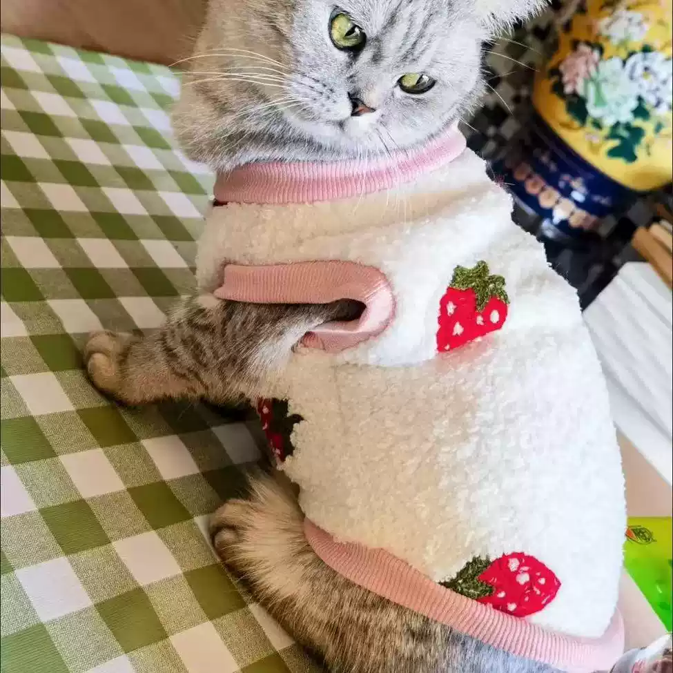 Pet Dog & Cat Autumn/Winter Warm Fleece Vest - Anti-Shedding