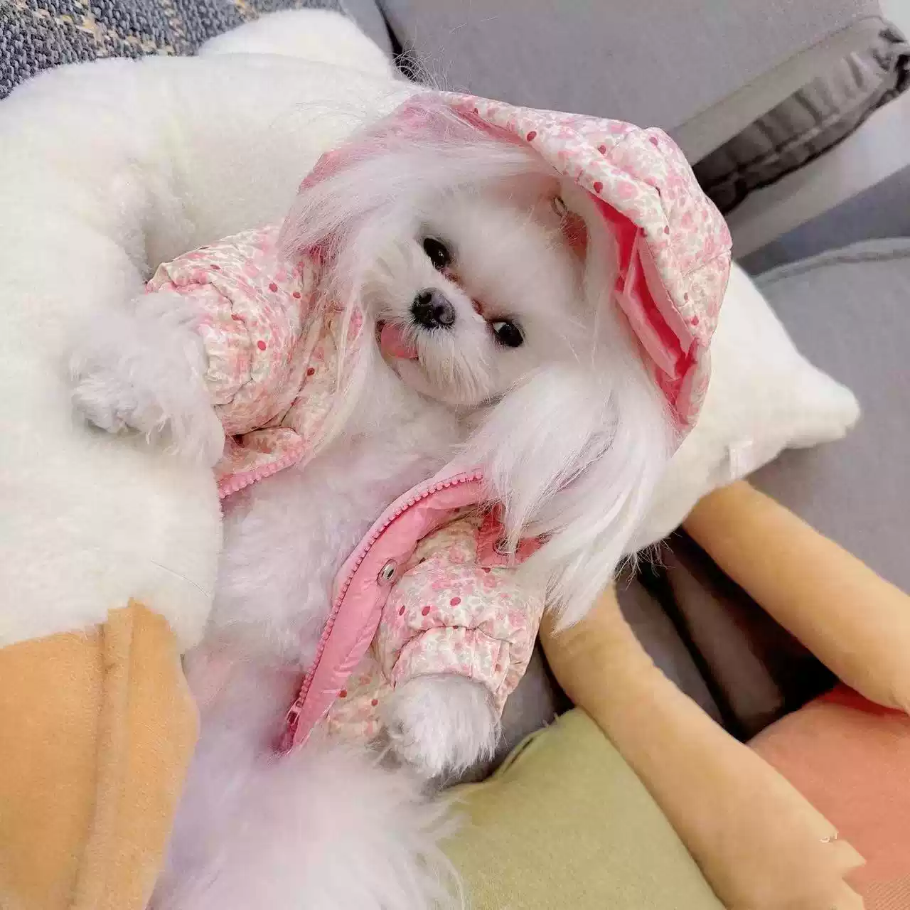 Pet Winter Warm Cotton Coat - Anti-Shedding for Cats & Small Dogs