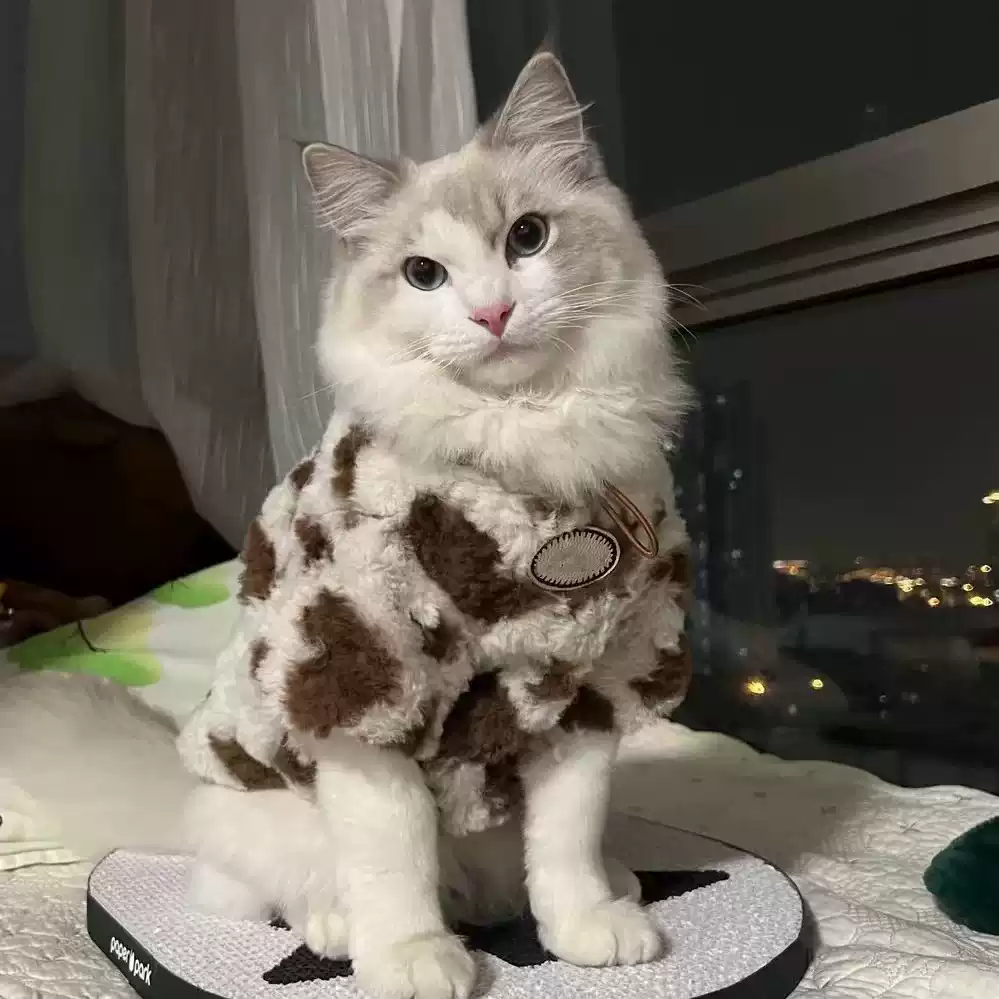 Winter Warm Faux Fur Pet Coat for Small & Medium Dogs - Cute Design