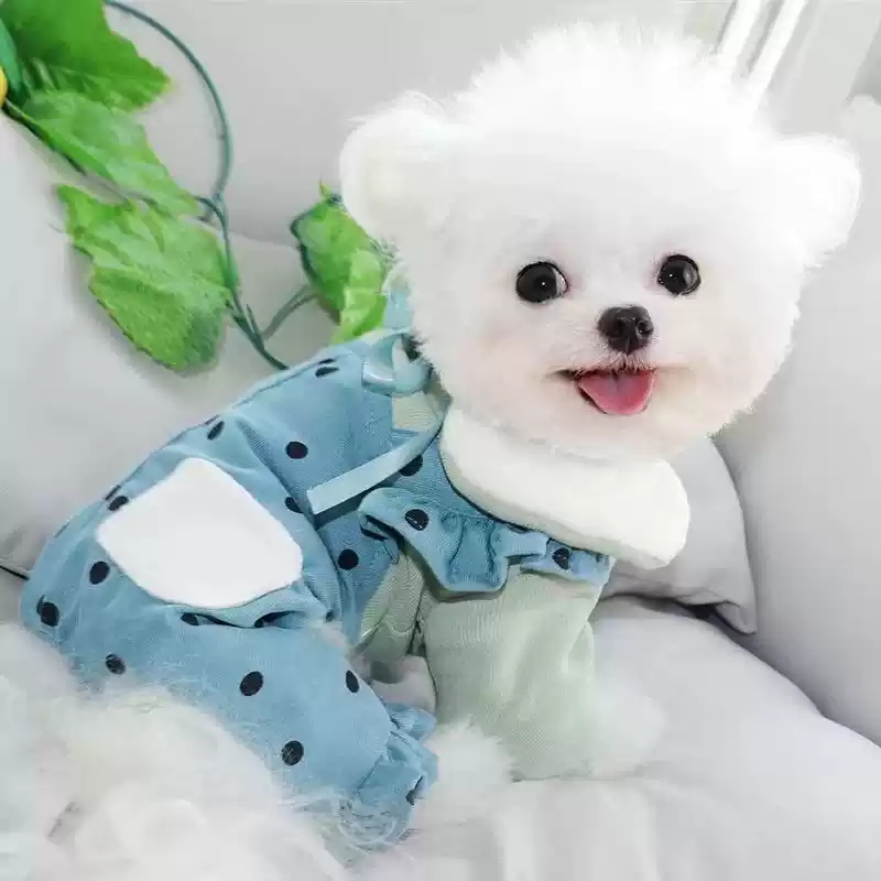 Autumn & Winter Four-Legged Thickened Cotton Pet Jacket for Small Dogs