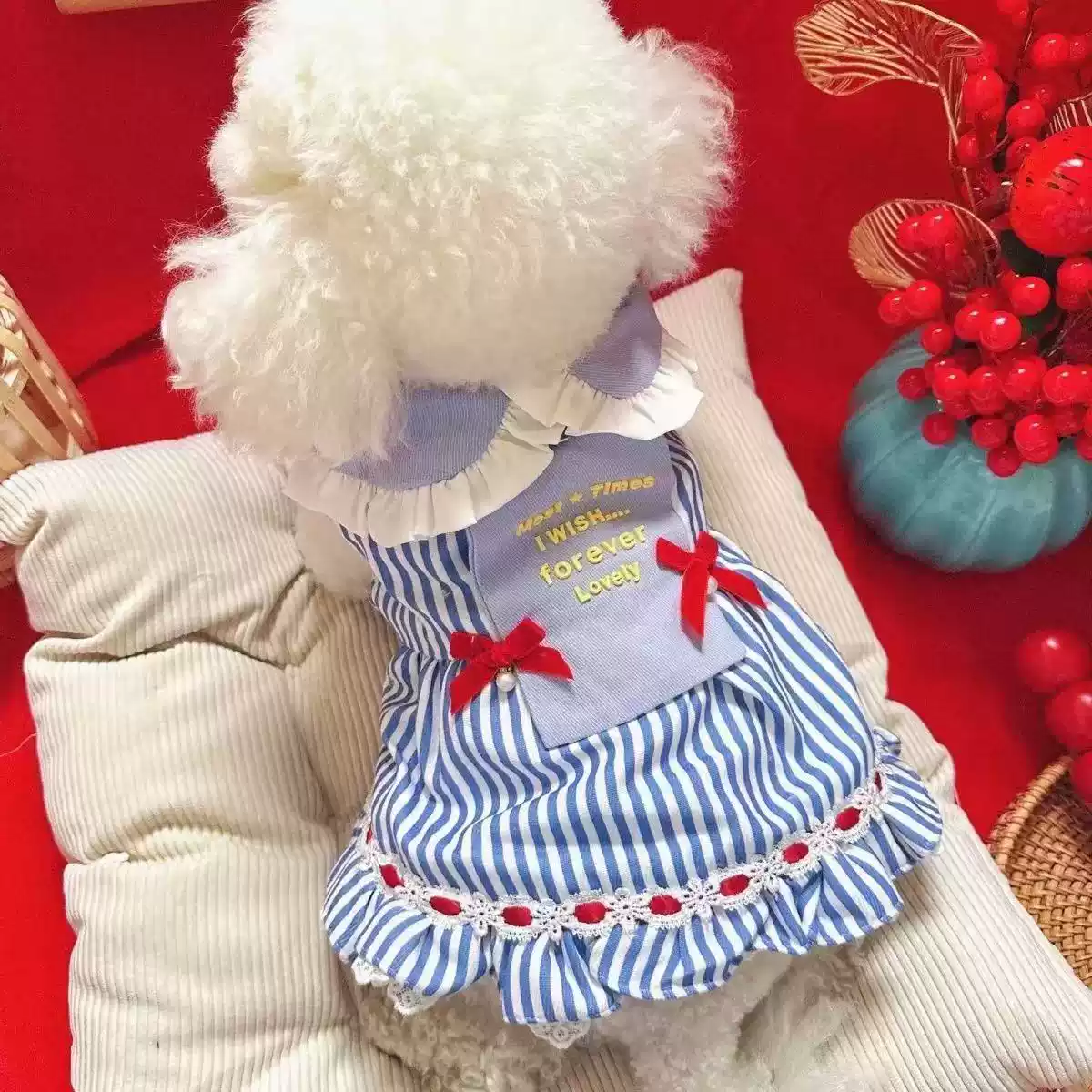 Cute Warm Thickened Winter/Autumn Princess Dress for Small Dogs & Cats