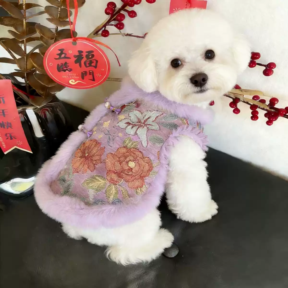 Pet New Year Autumn/Winter Chinese Style Thickened Vest & Tang Suit for Dogs & Cats