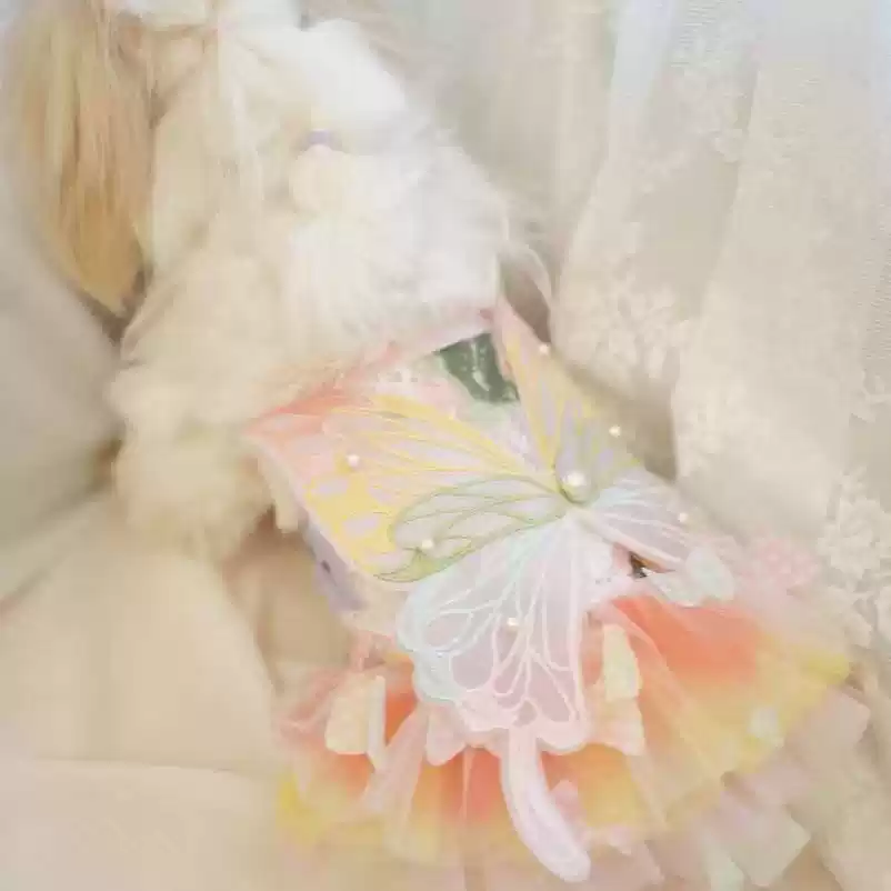 Pet Costume with Iridescent Butterfly Wings - Spring/Summer Fairy Style for Cats & Small Dogs