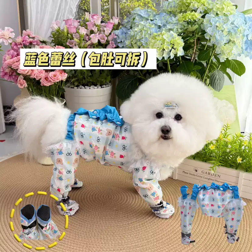 Small Dog Anti-Dust Walking Pants - Belly Guard & Leg Protection, Outdoor Essentials