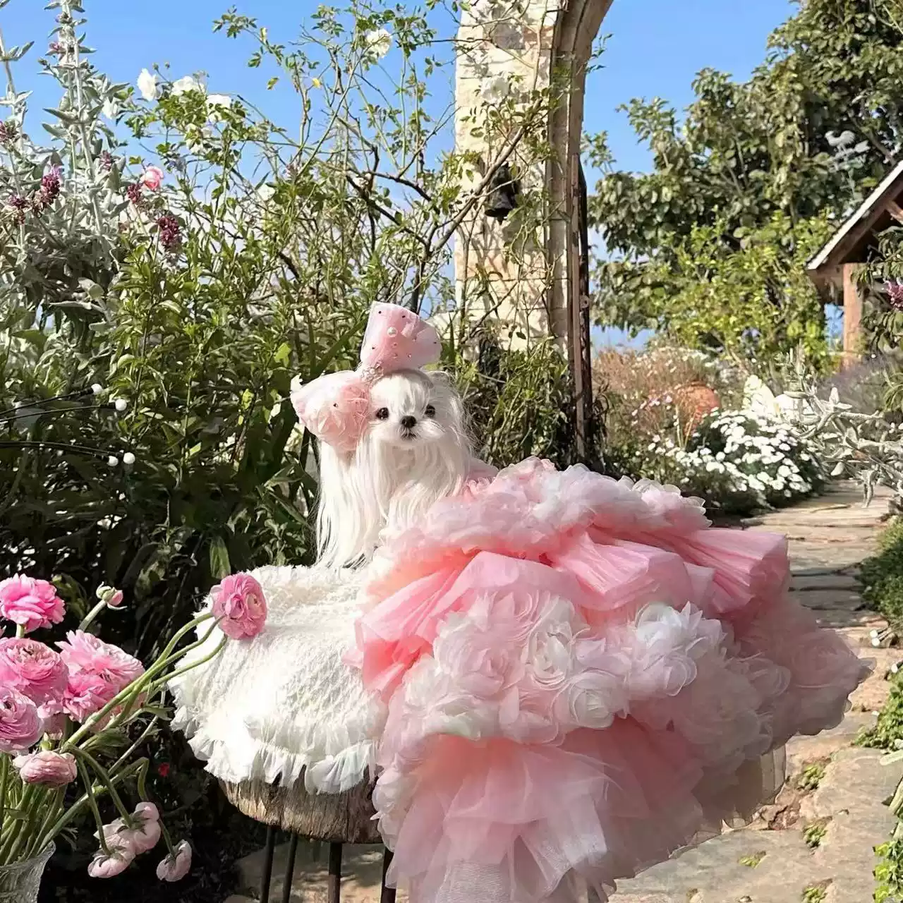 Pet Formal Gown for Photography & Weddings