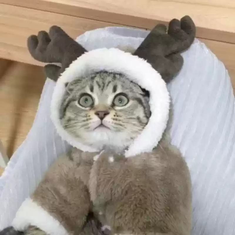 Pet Cat & Dog Four-Legged Fleece-Lined Winter/Autumn Warm New Year Outfit