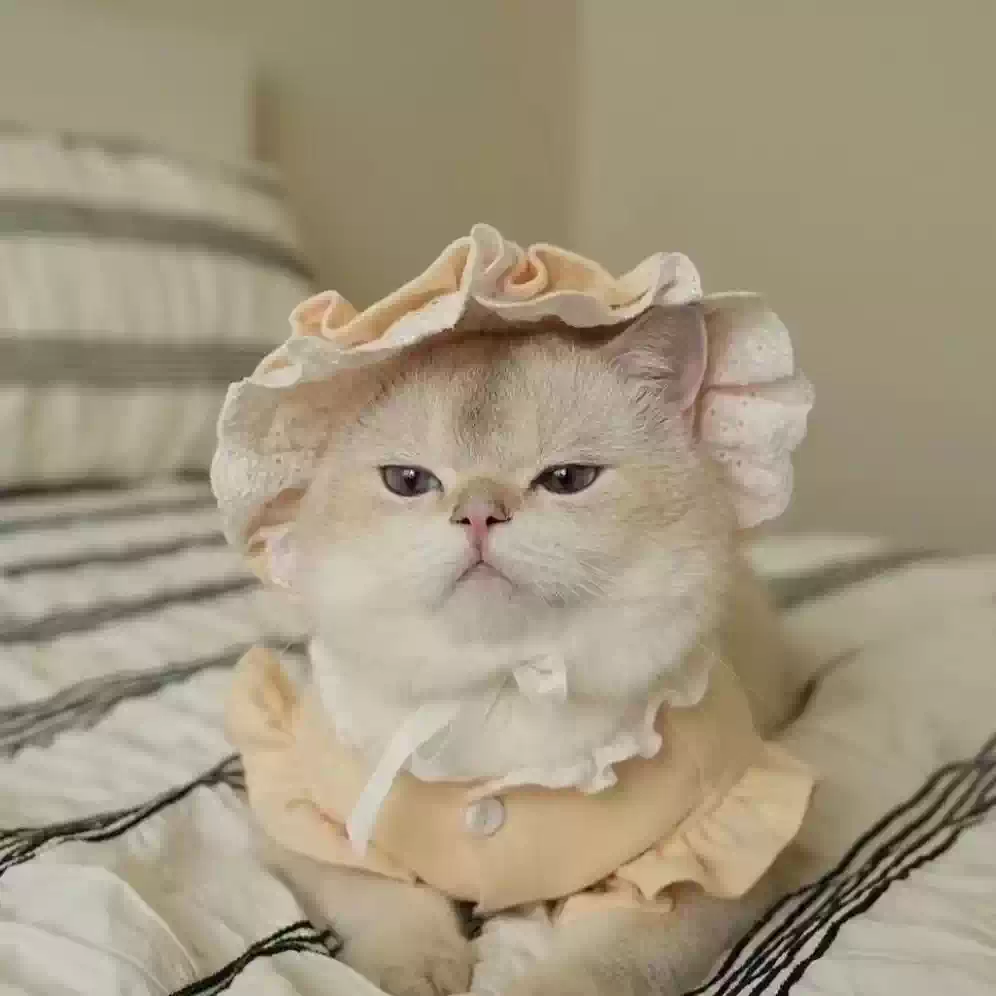 Cream Yellow Cute Lightweight Comfortable Anti-Shedding All-Season Vest for Yorkshire Terrier, Maltese, Cats & Dogs