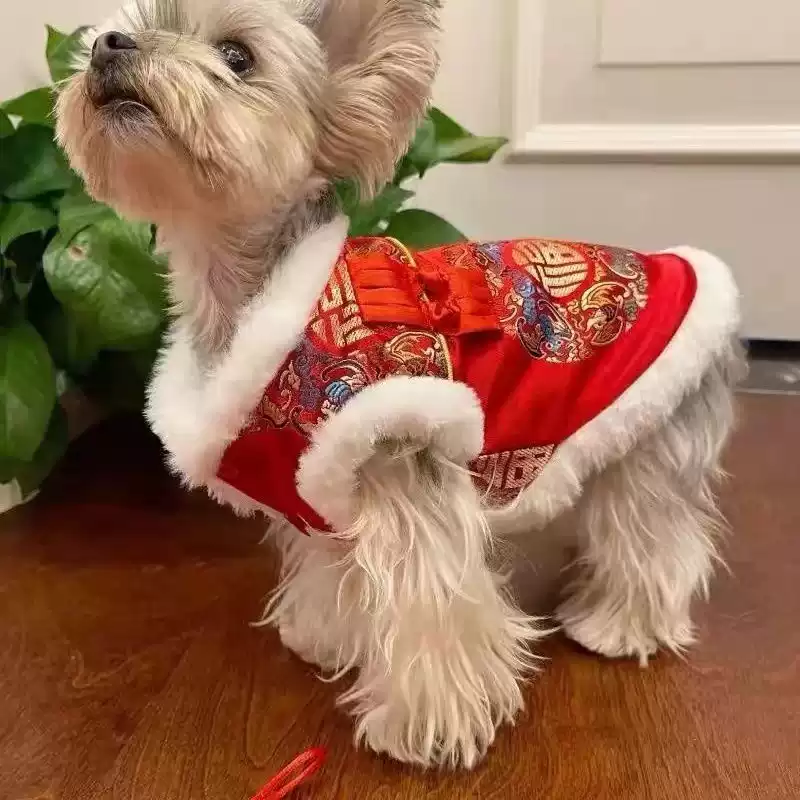 Dog & Cat Festive Tang Suit - Winter Warm Thickened Outfit for New Year, Weddings, Visits