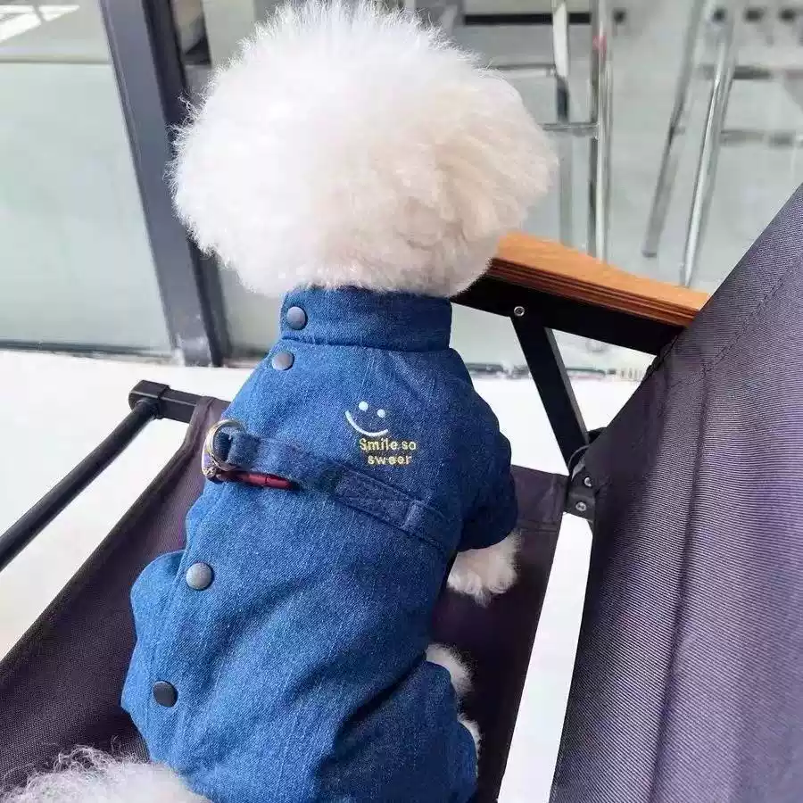 Small Dog Denim Four-Legged Winter/Autumn Warm Outfit