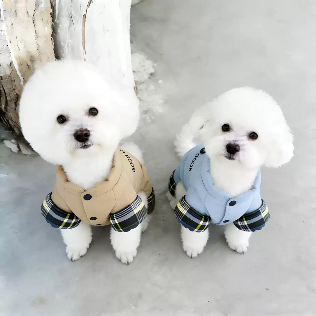 Small Breed Dog Four-Legged Cotton Jacket with Harness and Embroidered Letters, Thick Winter & Autumn Style