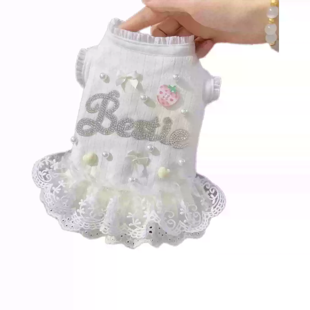 Princess Style Pet Lace Dress for Small Dogs - Spring, Autumn, Winter