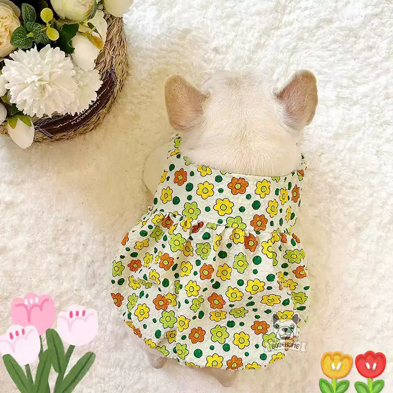 Summer Thin Dog Vest Dress - Pumpkin Skirt Style for Small Dogs