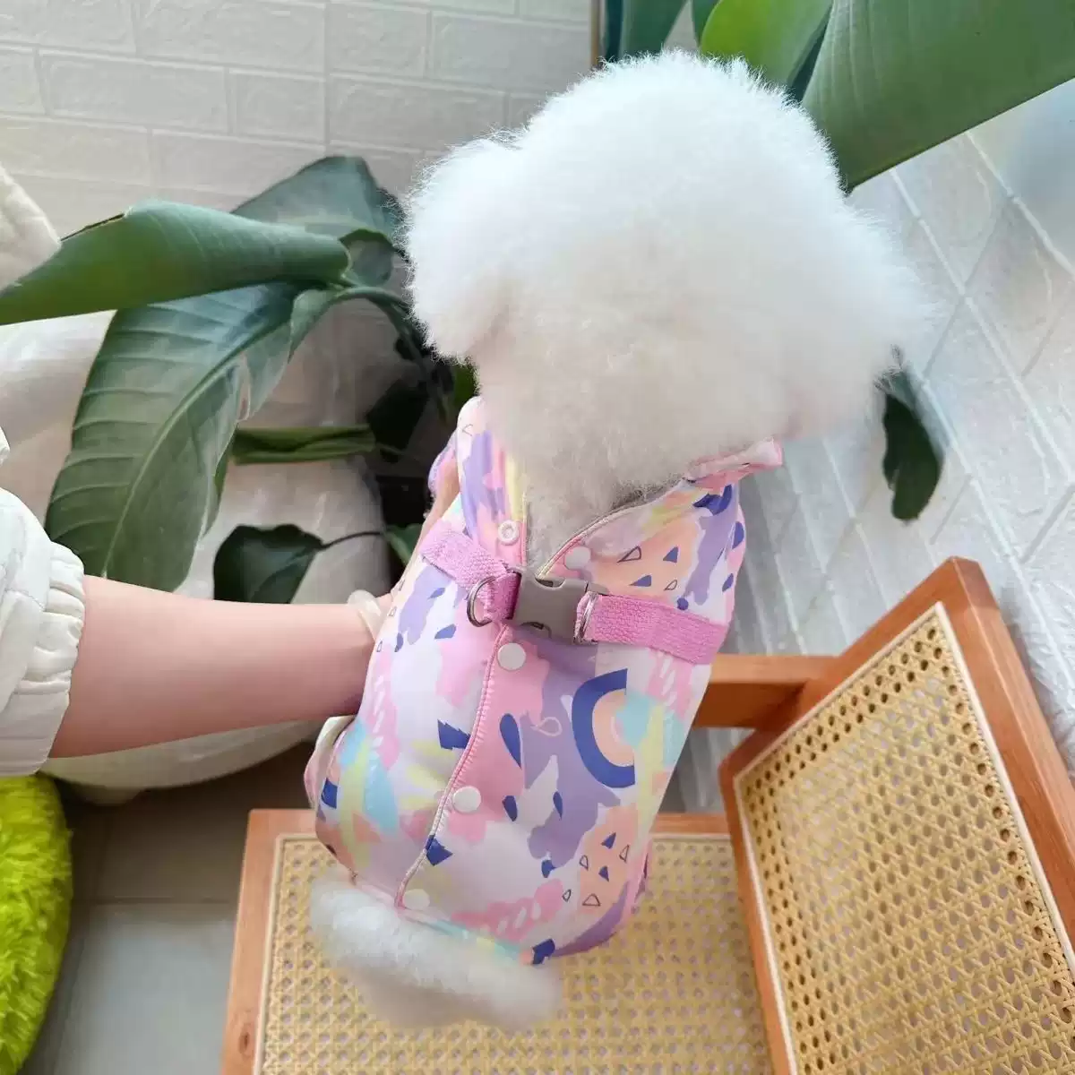 Dog Four-Legged Warm Coat, Autumn & Winter Thickened Cotton, Belly Protection