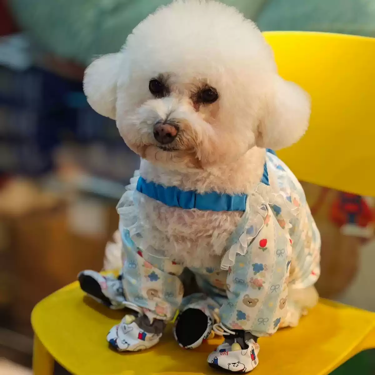 Lightweight Four-Legged Dog Pants, Dustproof Insect-Proof, for Spring/Summer Outdoor Walking, Small Size