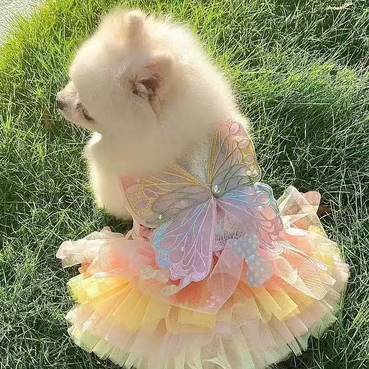 Pet Small/Medium Dog & Cat Fairy Tulle Dress with Butterfly Wings, Rainbow