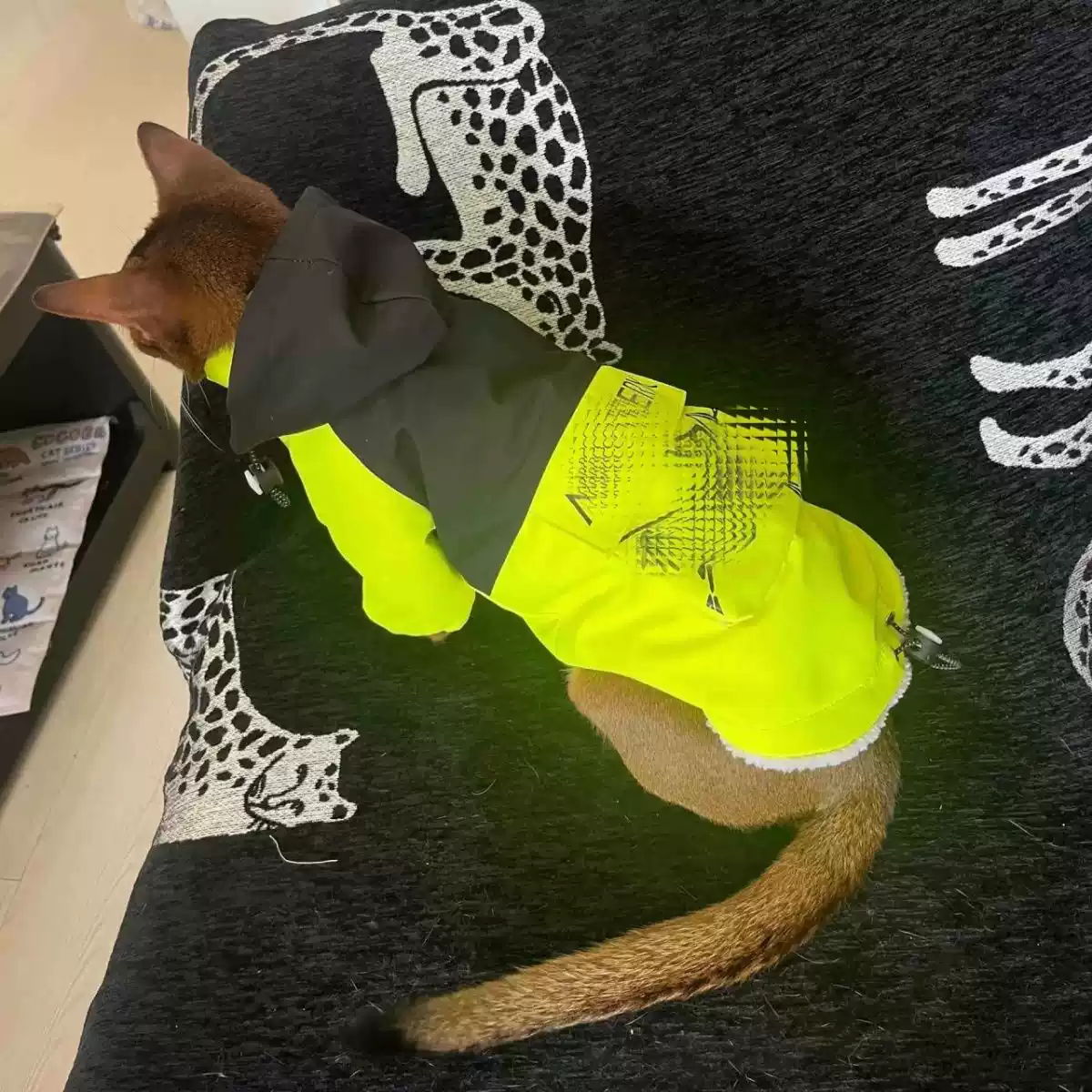 Small to Medium Dog Winter Fleece-Lined Jacket - Cute Warm Coat for French Bulldog, Schnauzer, Bichon Frise, Pug, Poodle