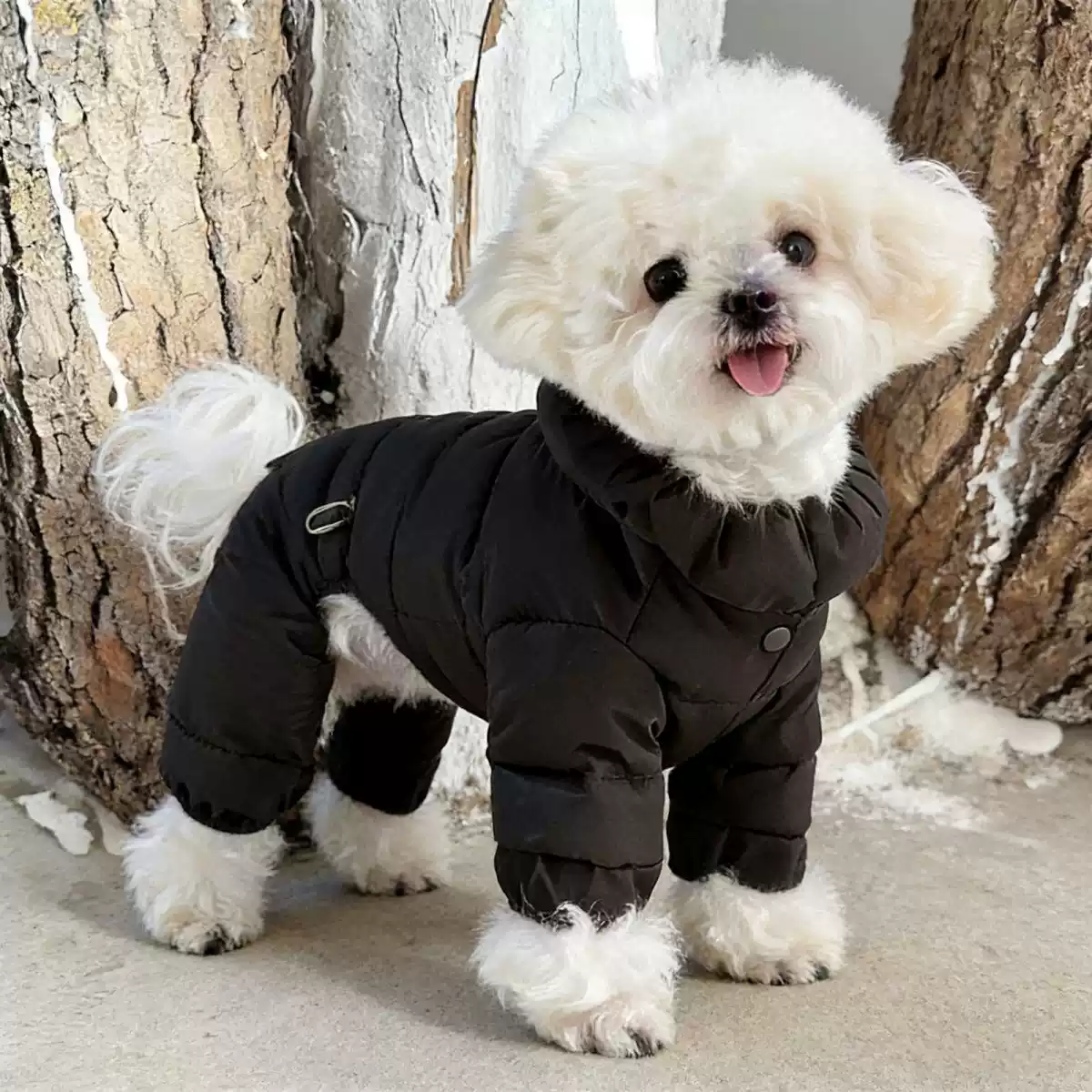 New Style Thickened Four-Legged Dog Clothes for Small Dogs - Autumn & Winter, Fleece-Lined