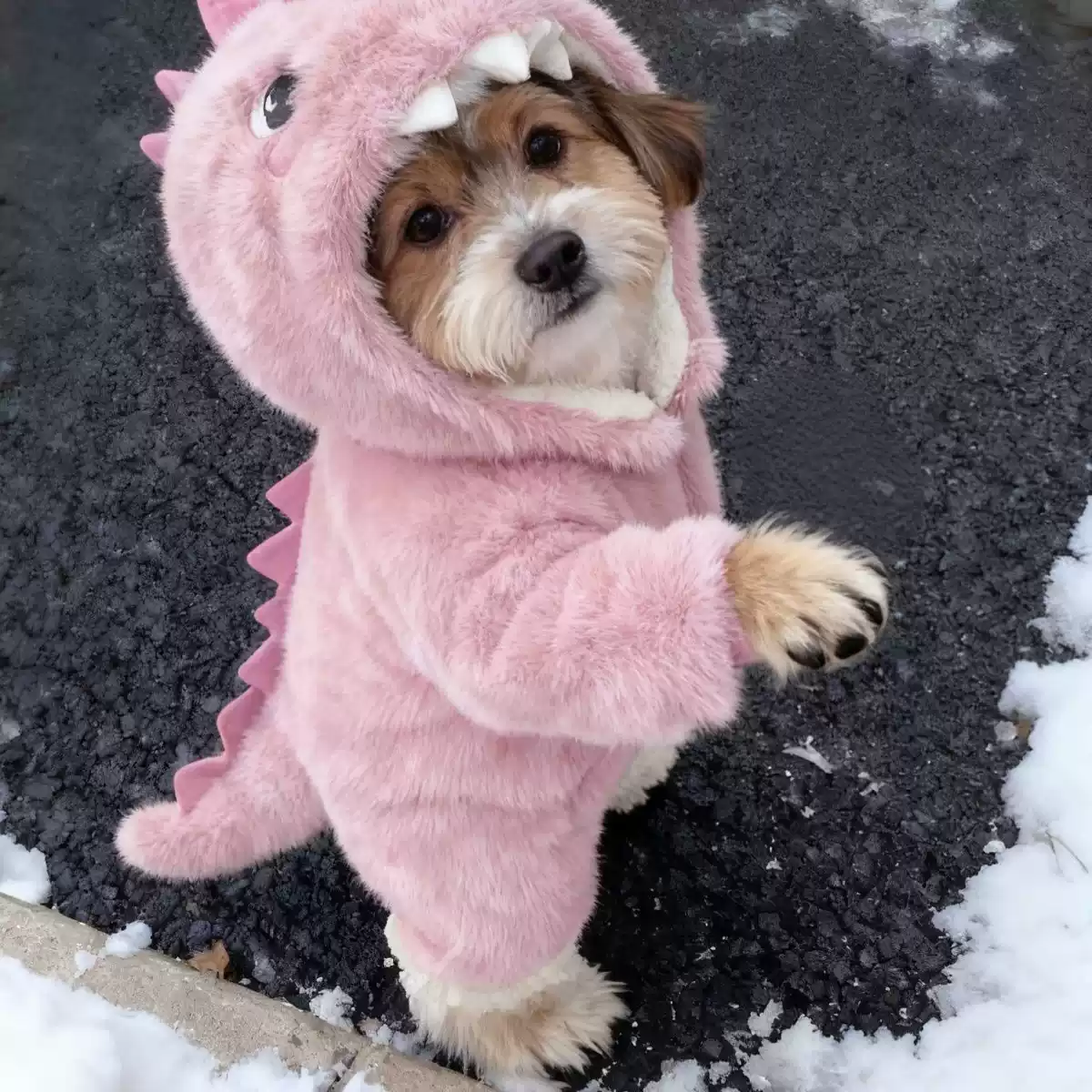 Dinosaur Warm & Thickened Dog Outfit - New Autumn & Winter Cute Transformation Outfit