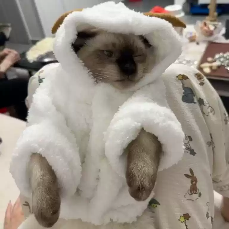 Small Dog Flannel Jumpsuit for Autumn & Winter - Minimalist Four-Legged Pet Outfit