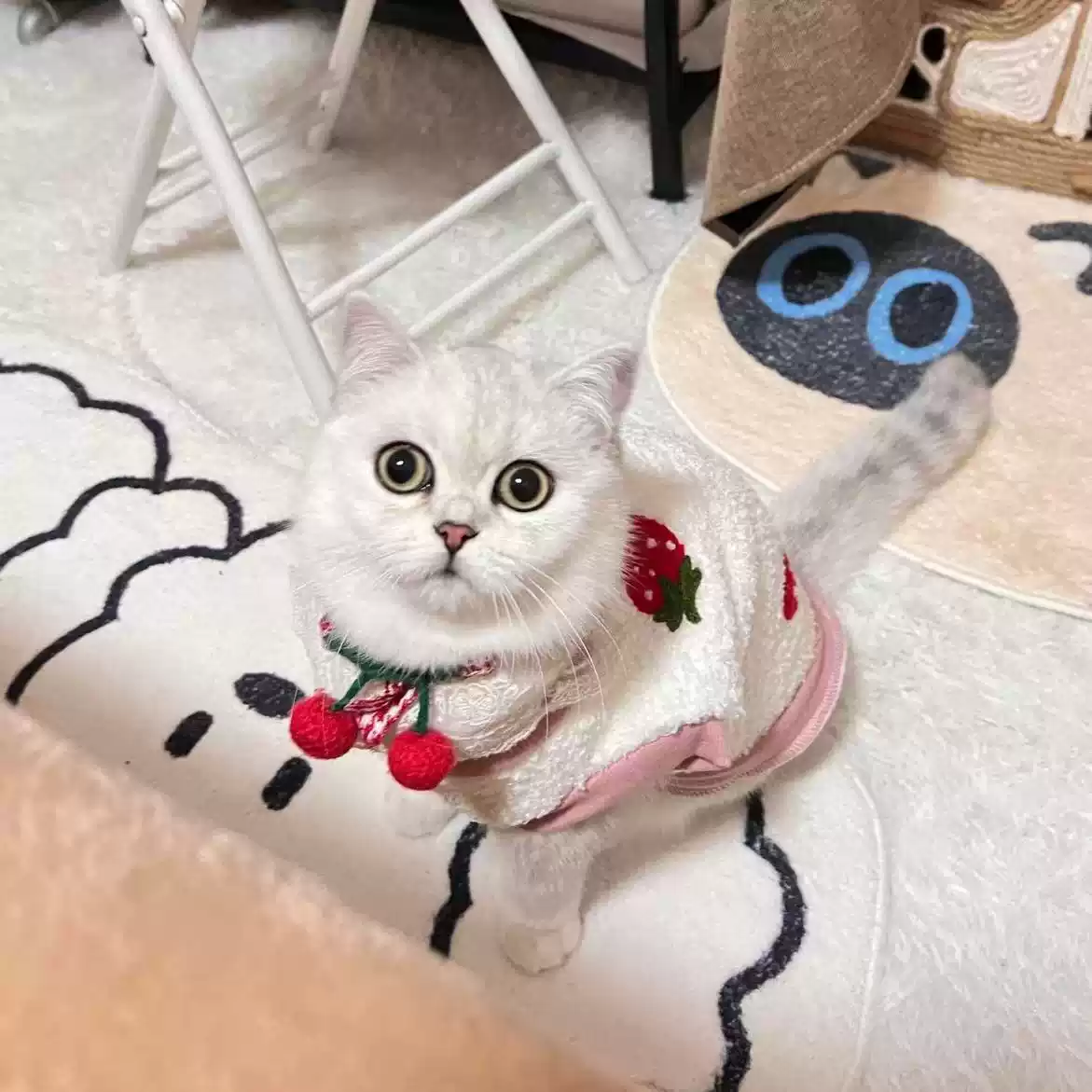 Autumn Winter Cat Fluffy Sweater - Anti-Shedding, for Small Cats