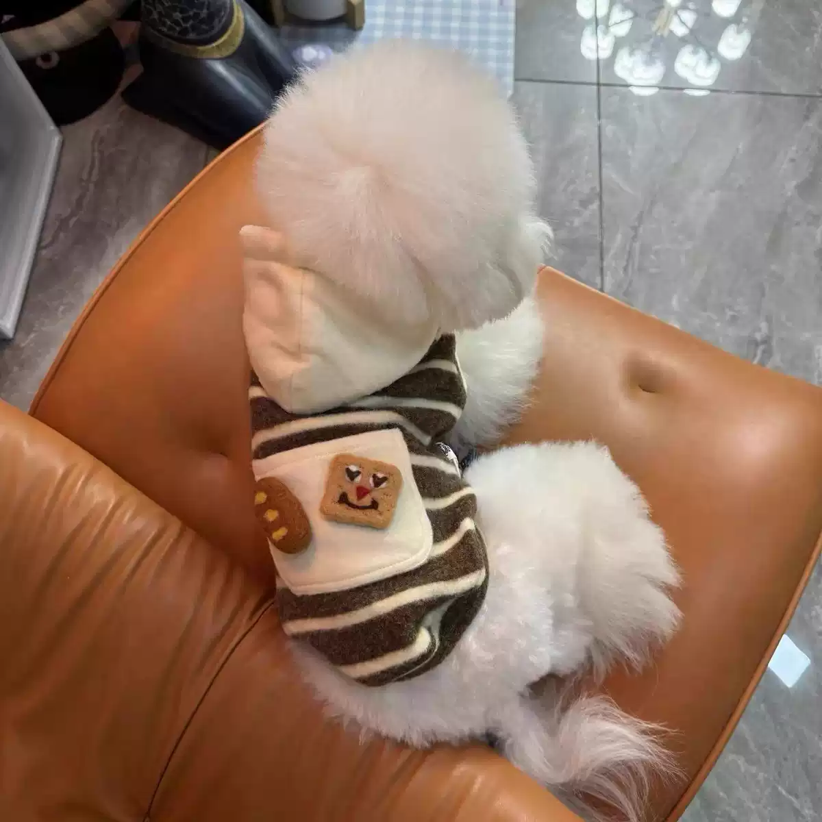 Pet Autumn and Winter Warm Sleeveless Hoodie Cute Felt Dog Clothes