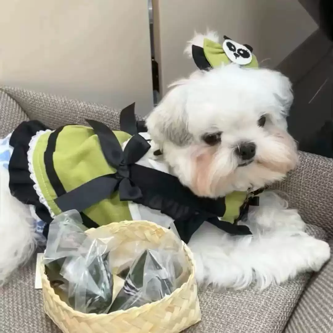 Cotton Princess-Style Lace Trim Dress for Dogs & Cats, All Seasons, Cute