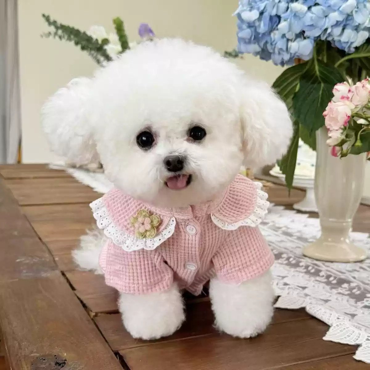 Waffle-Patterned Doll Collar Cardigan-Style Four-Legged Pet Outfit, New Autumn/Winter Style for Dogs & Cats