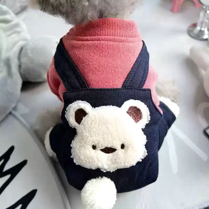 Small Dog and Cat Winter Pet Clothes