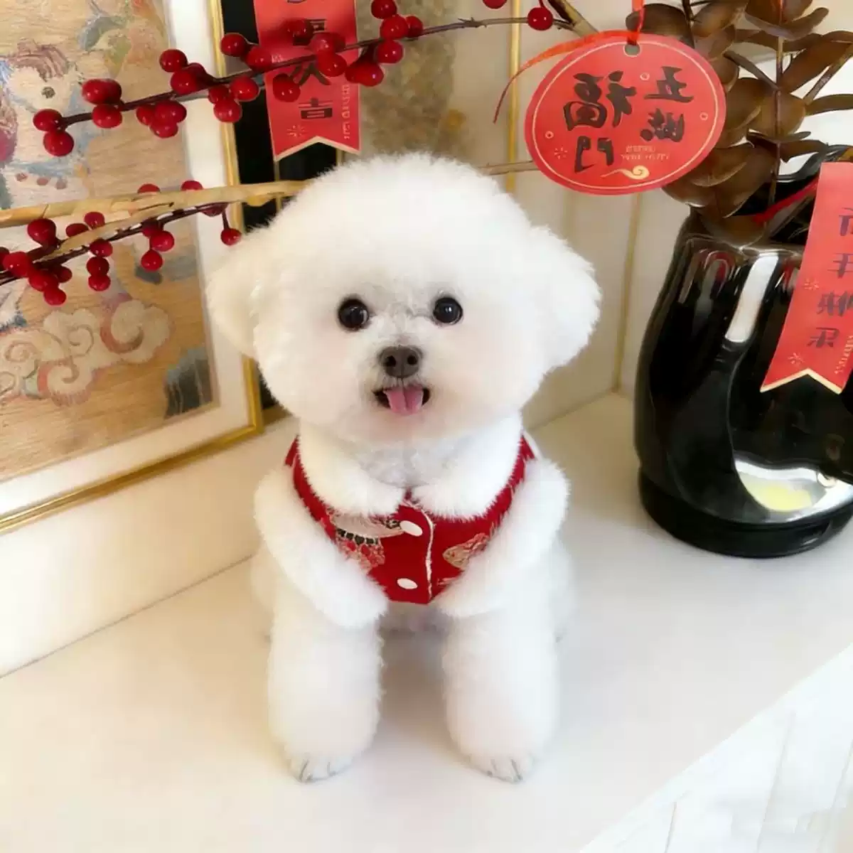 Pet Fleece-Lined Warm New Year Tang Suit Dress - Autumn/Winter for Dogs & Cats