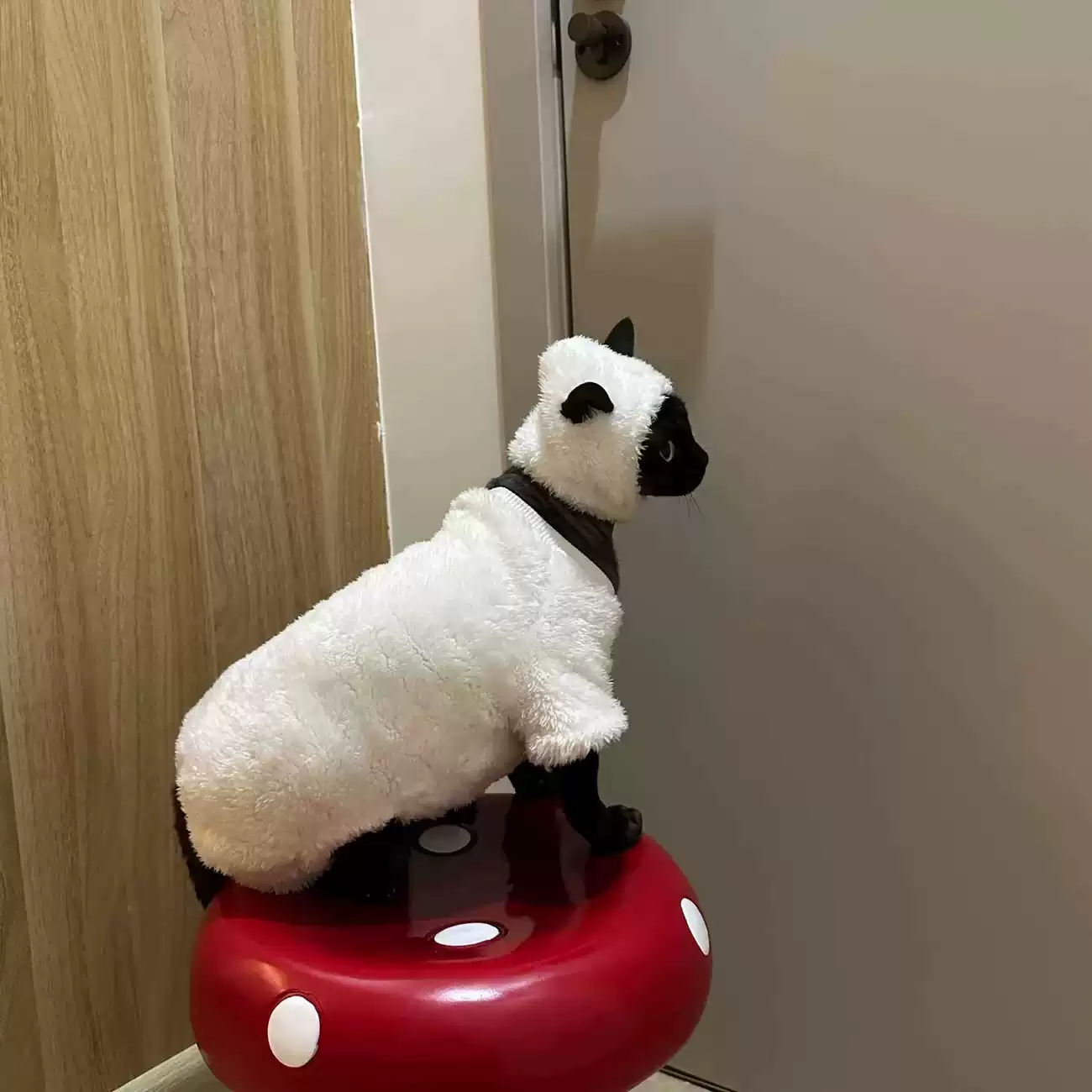 Autumn/Winter New Hairless Cat Fleece-Lined Warm Four-Legged Outfit