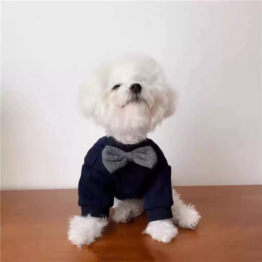 Gentleman Bow Tie Pet Clothing - Autumn & Winter for Small Dogs and Cats
