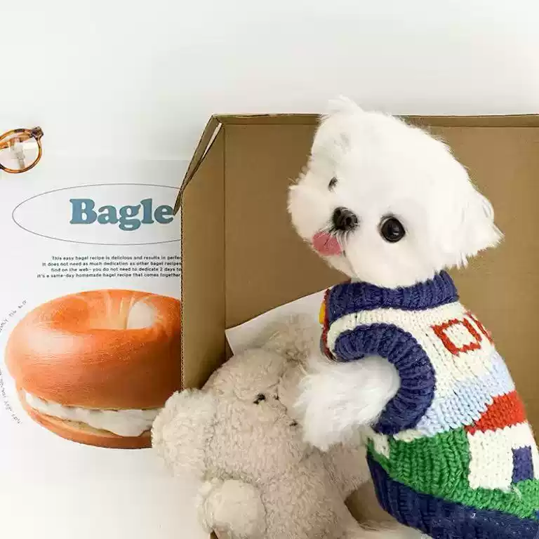 Small Dog Winter Sweater - Warm, Anti - Shedding, Two - Legged Pet Clothing