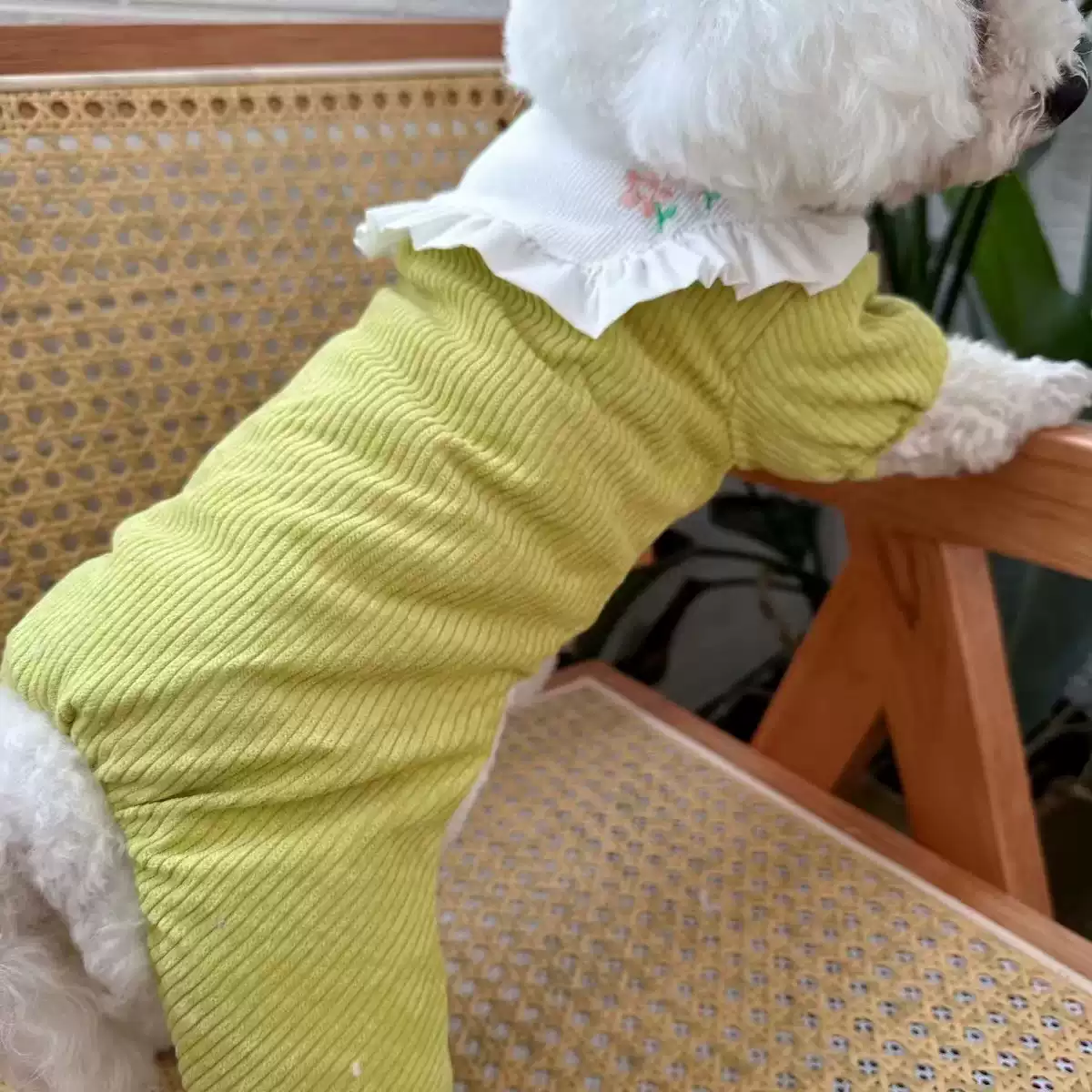 Cute Floral Four-Legged Winter Dog Coat