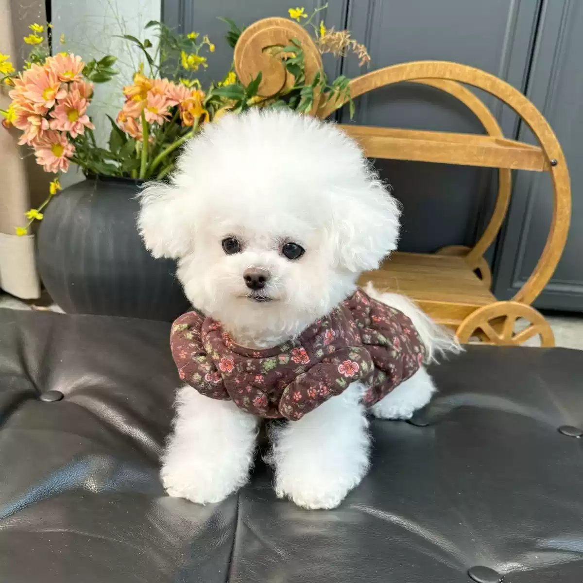 Floral Padded Fleece-Lined Cardigan Dress for Dogs & Cats - New Autumn/Winter Style