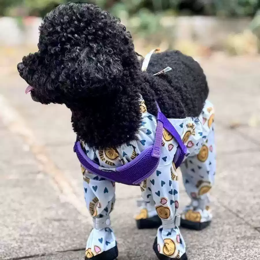 Small and Medium Dog All-Season Full-Body Four-Legged Jumpsuit with Back Exposure