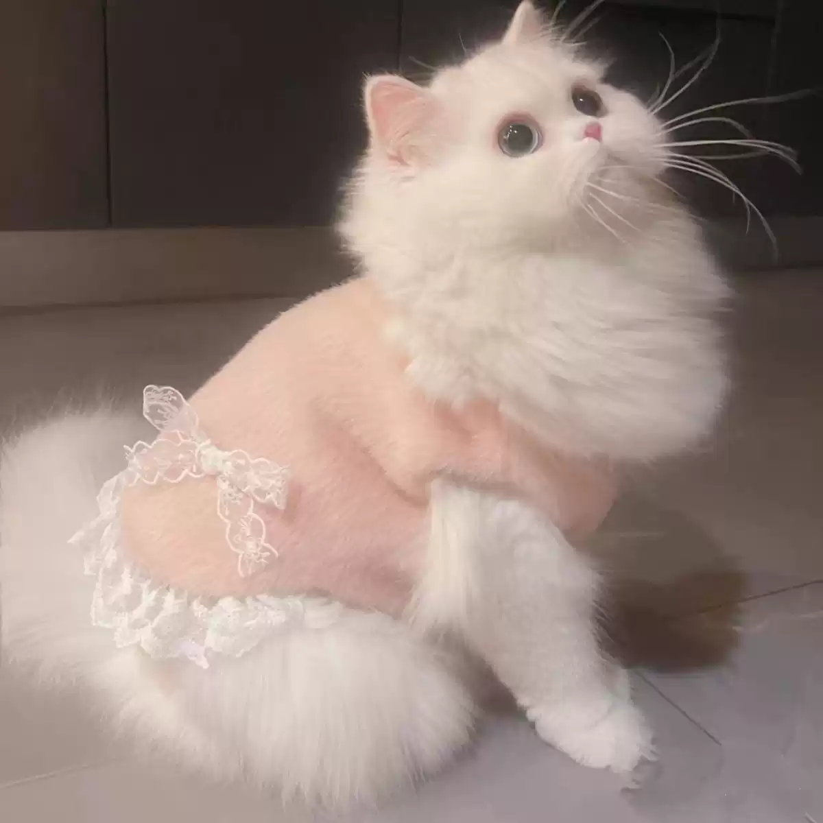 Autumn & Winter Pet Vest for Dogs & Cats - Thickened Warm Anti-Shedding Coat