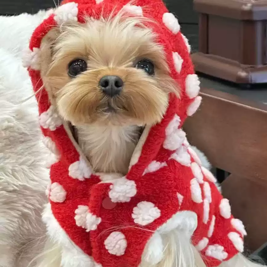 Dog New Year Autumn Winter Sleeveless Vest Red Coat