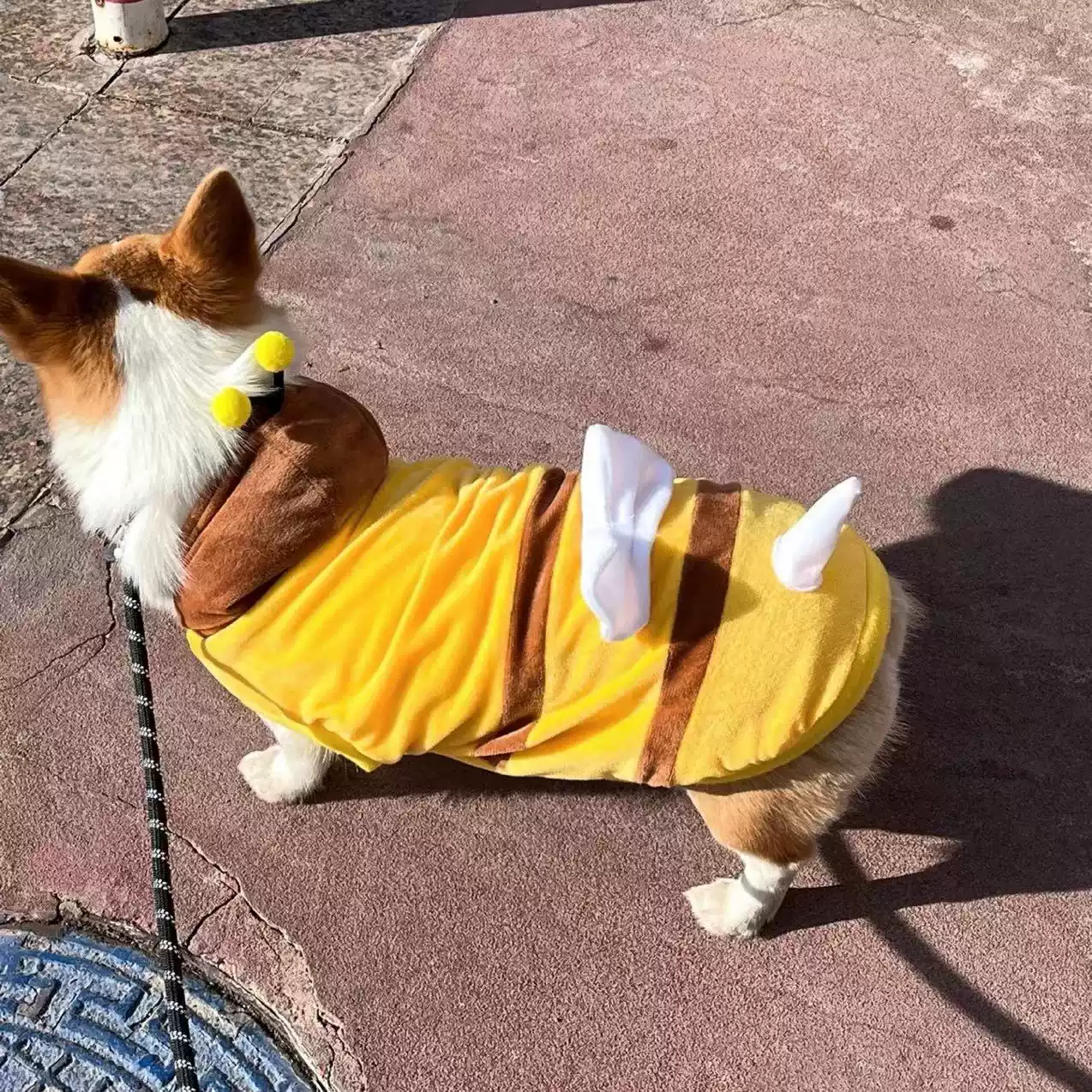 Cute Bee Transformation Warm Winter Two-Legged Cotton Dog Jacket for Medium-Sized Dogs