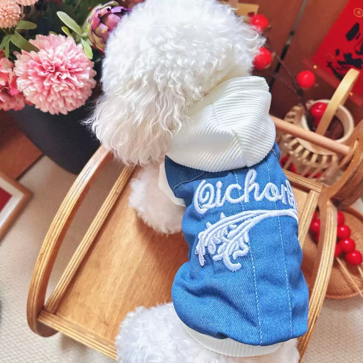 Hooded Denim Pet Hoodie - Spring, Autumn & Winter Outfit for Dogs