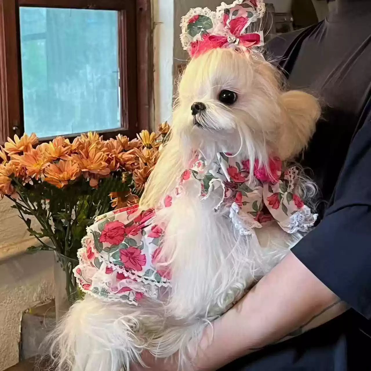 Spring Summer Rose Style Pet Dress for Cats and Dogs (Yorkshire, Maltese)
