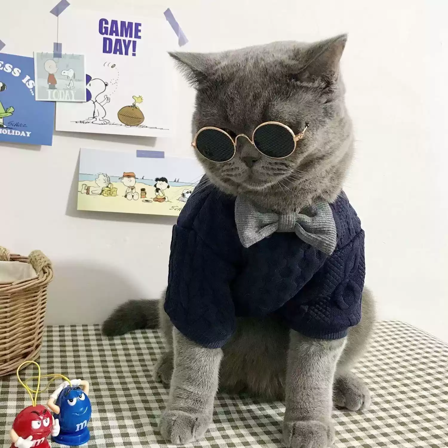 Anti-Shedding Two-Legged Sweater for Pet Dogs & Cats, Cute Kitten & Short-Haired Cat Outfit (Autumn/Winter)