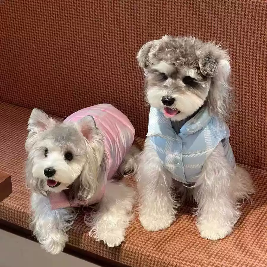 Winter Thickened Cotton Jacket for Cats and Dogs - Checkered Warm Coat, Cute