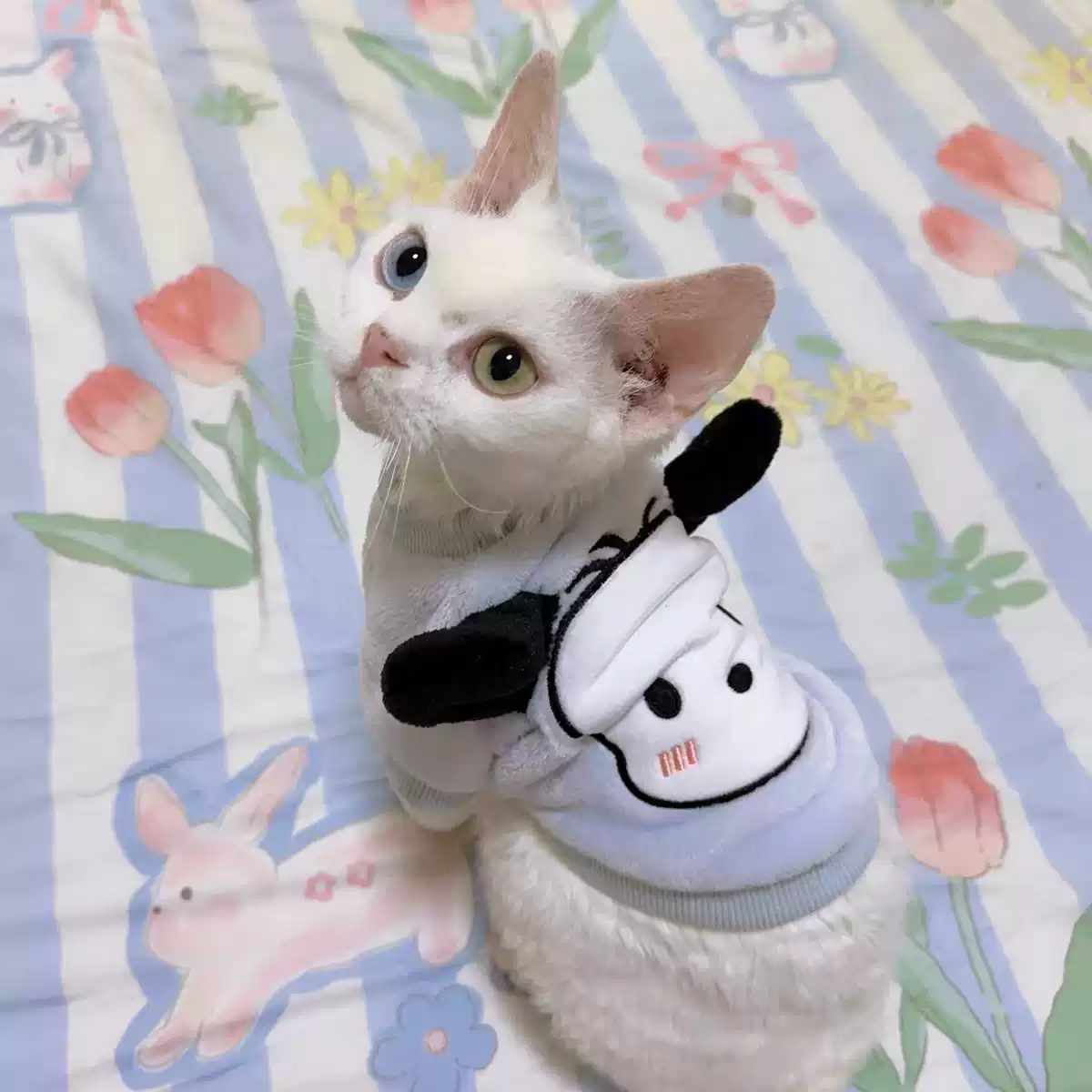 Fleece-Lined Cute Long-Eared Pet Sweater, Suitable for Small Dogs & Cats (XS-XL Sizes)