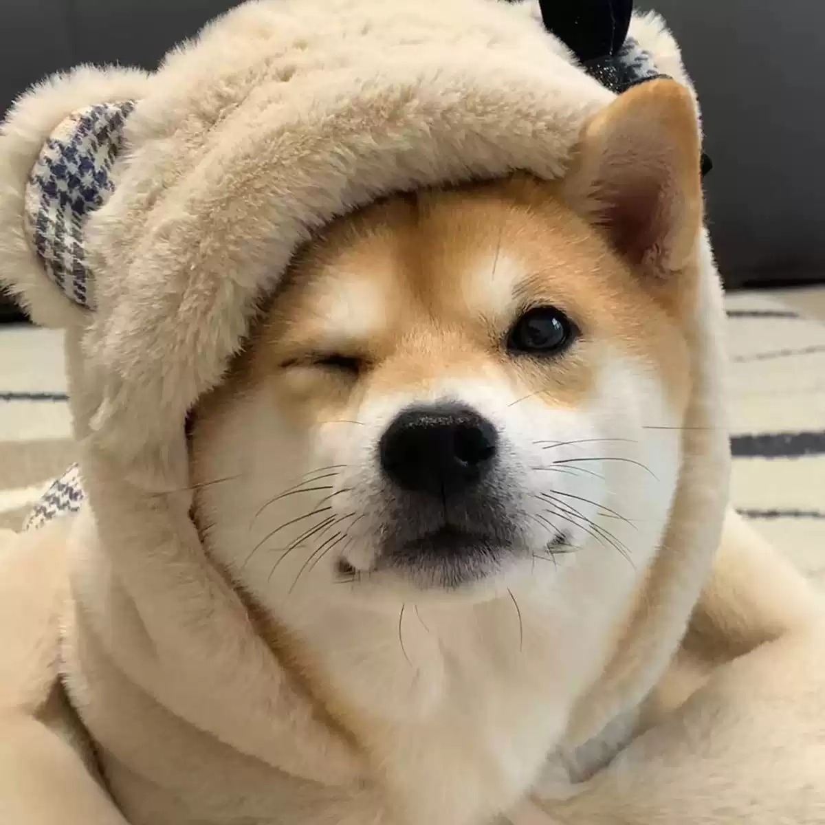 Pet Fleece Blanket and Warm Sleep Mat - Cozy for Dogs & Cats