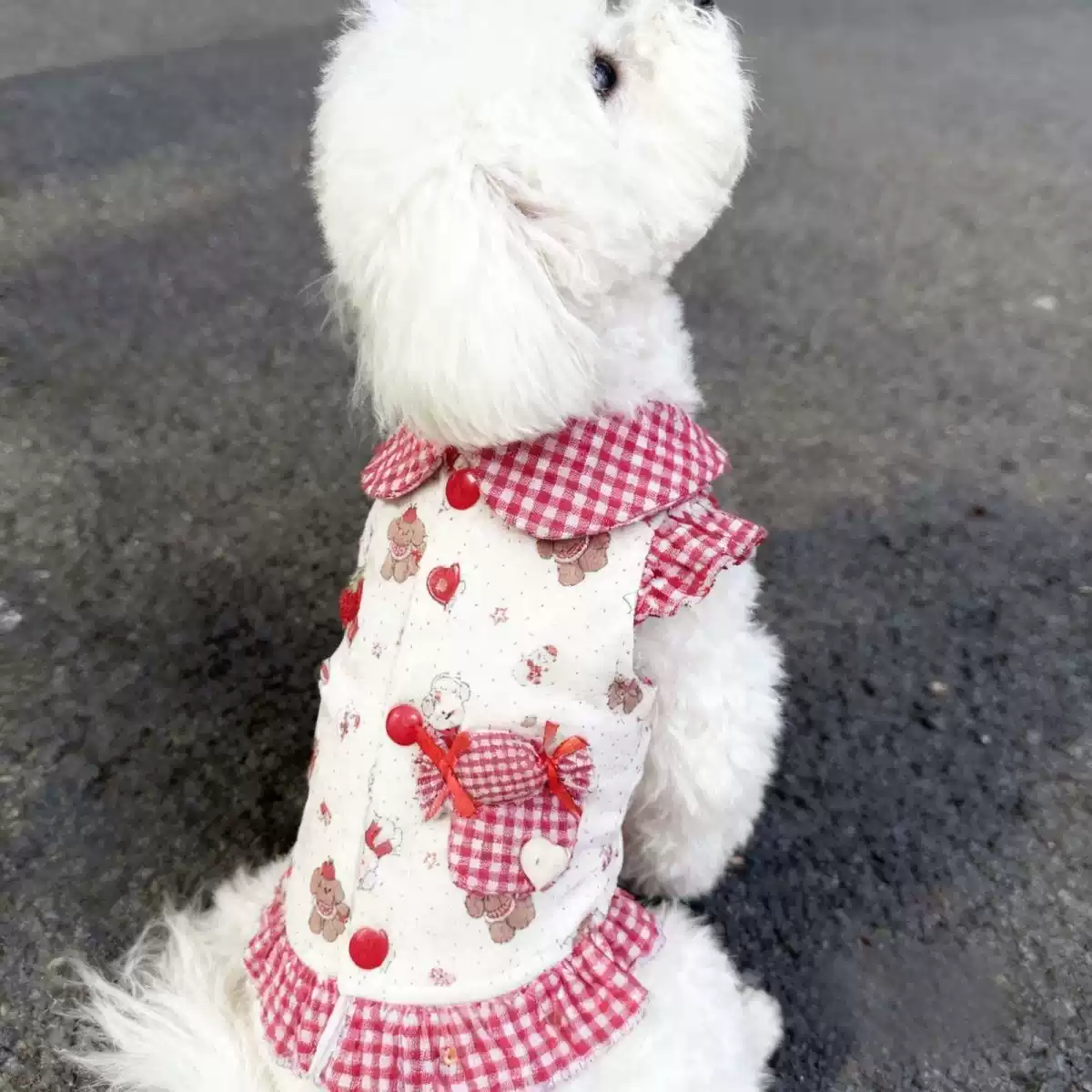 Cute Fleece-Lined Snap-Button Vest for Small & Medium Dogs, Autumn/Winter Warm Pet Clothing